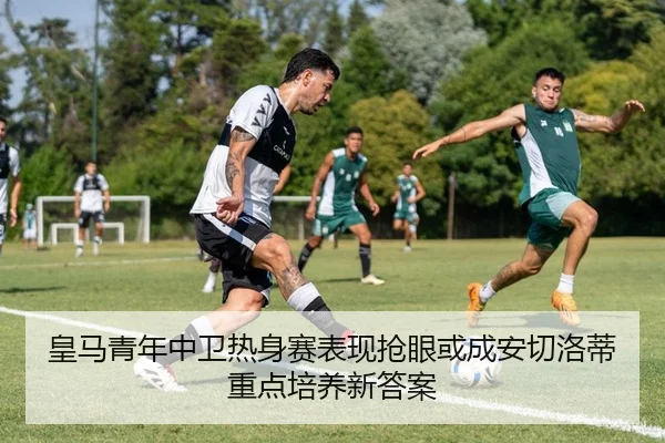 img_1783959877107_375_1_383.jpg